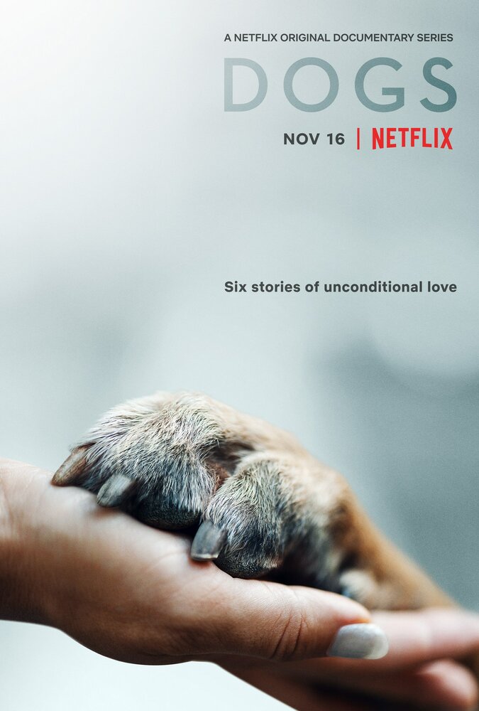 Собаки (2018) постер