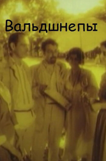 Вальдшнепы (1996) постер