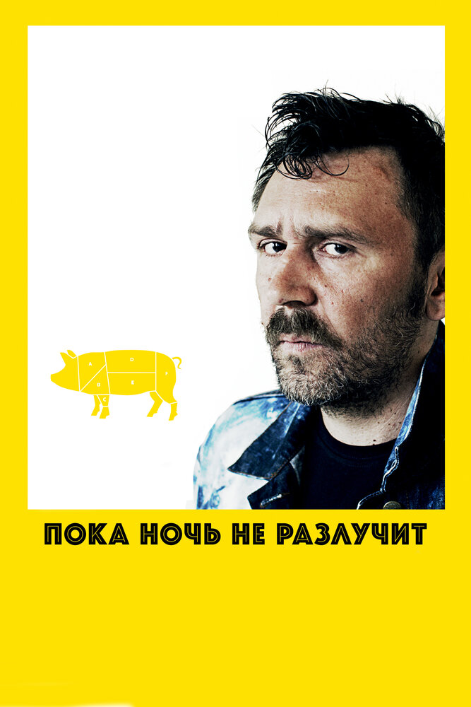 Пока ночь не разлучит (2012) постер
