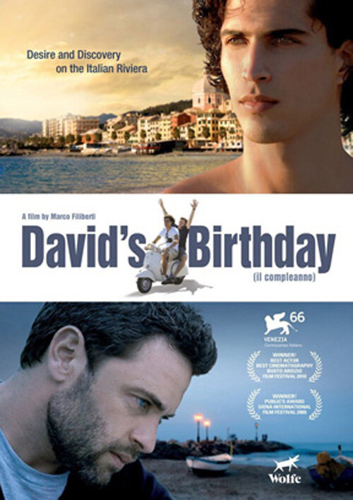 День рождения Дэвида (2009) постер