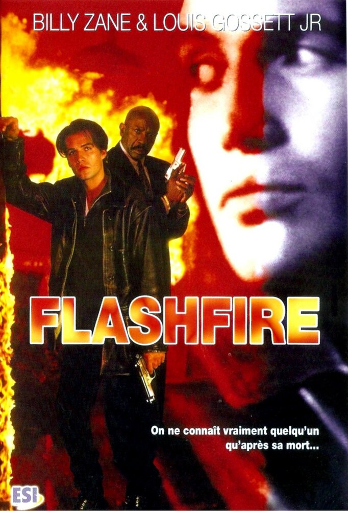 Хищный огонь (1994) постер