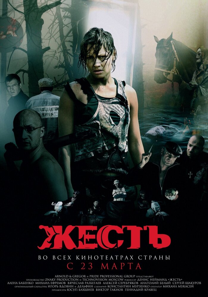 Жесть (2006) постер