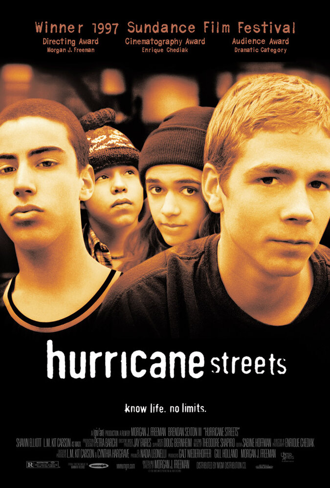 Сумасшедшие улицы (1997) постер
