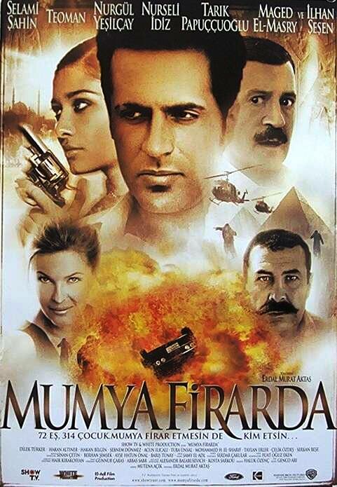 Мумия в бегах (2002) постер