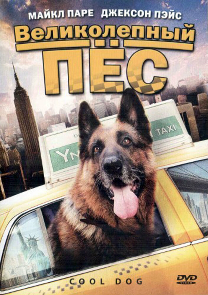 Великолепный пес (2010) постер