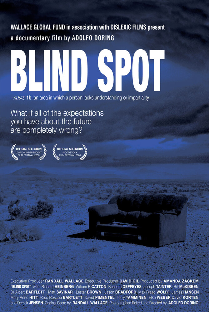 Blind Spot (2008) постер