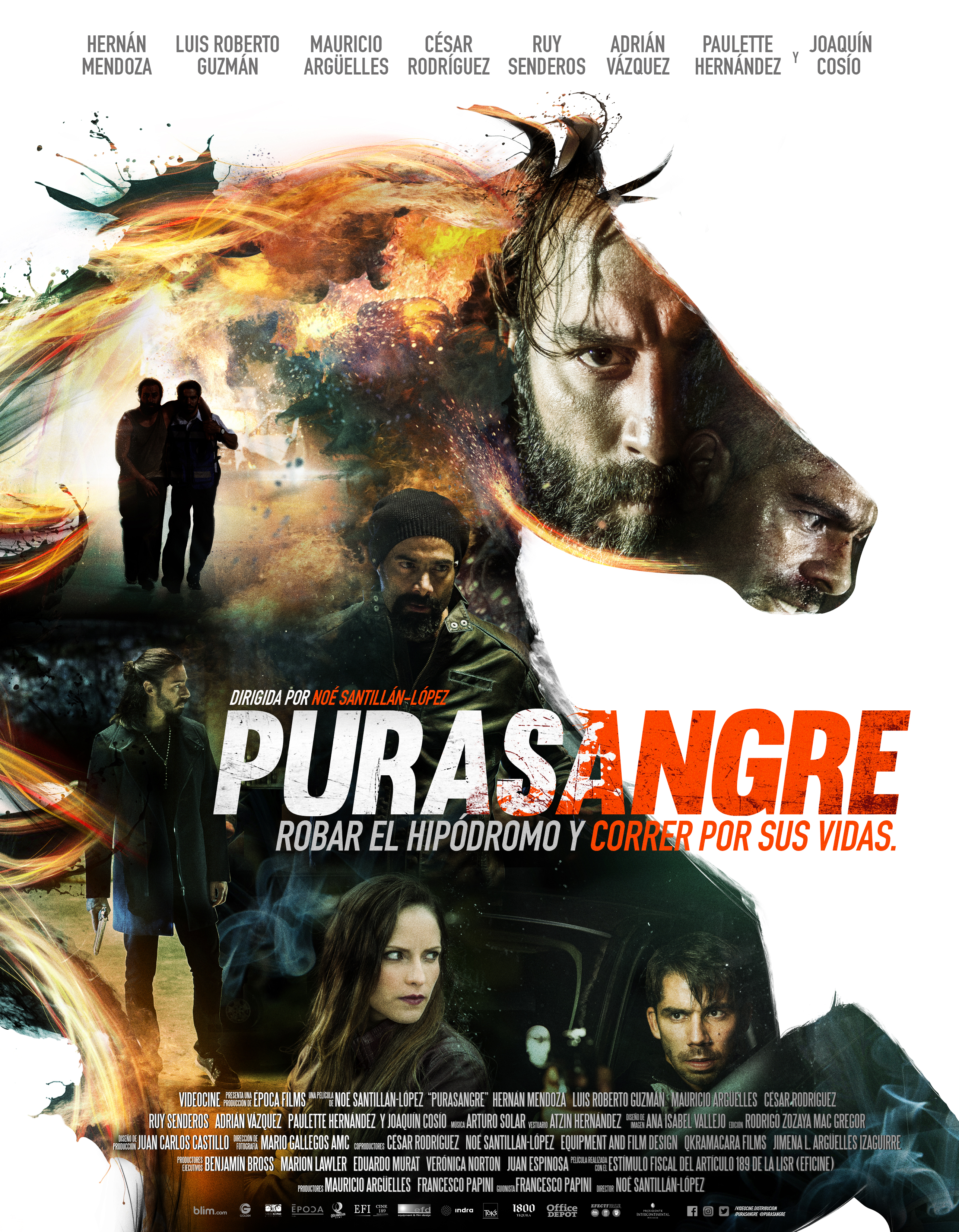 Purasangre (2016) постер