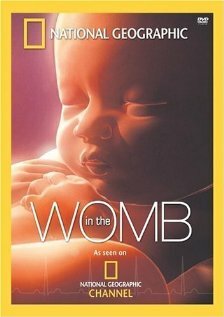 Life Before Birth (2005) постер
