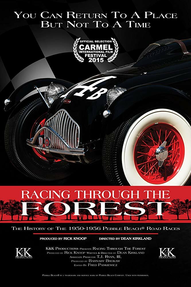 Racing Through the Forest (2016) постер