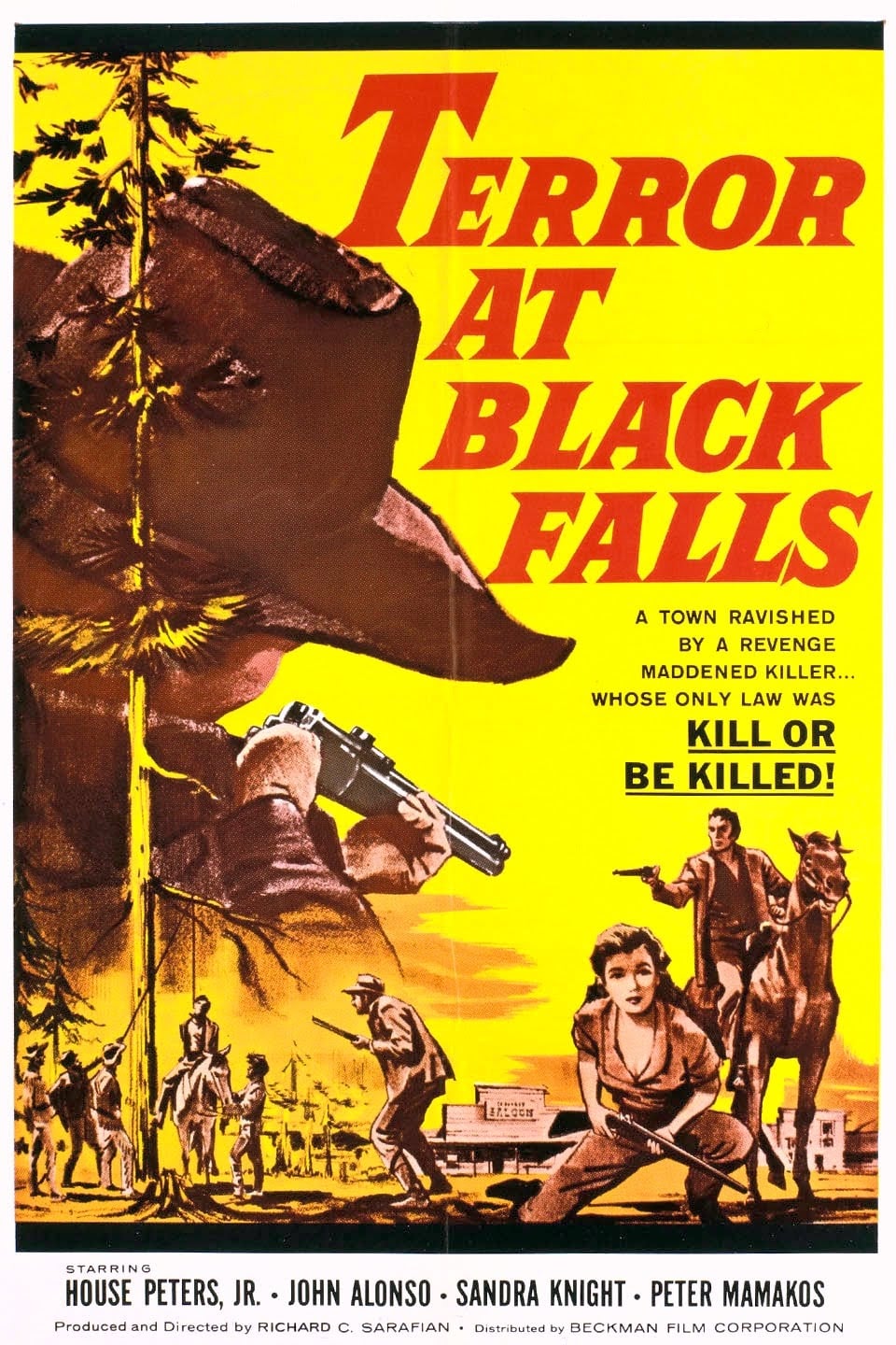 Terror at Black Falls (1962) постер