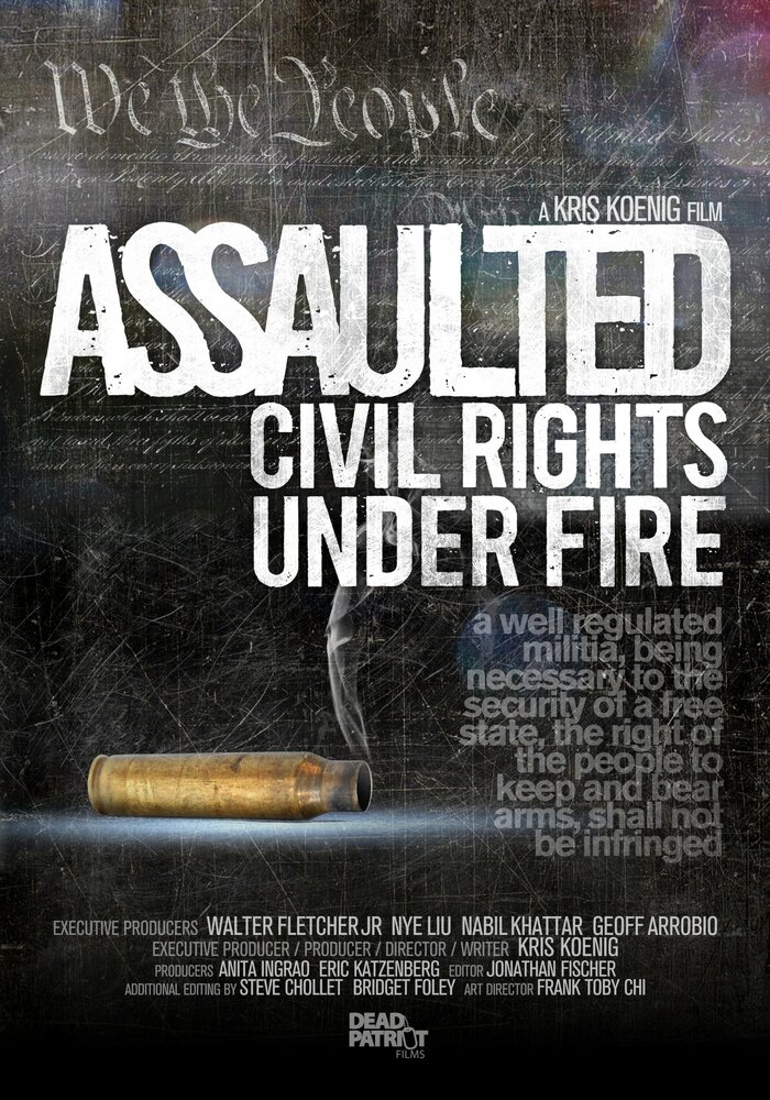Assaulted: Civil Rights Under Fire (2013) постер