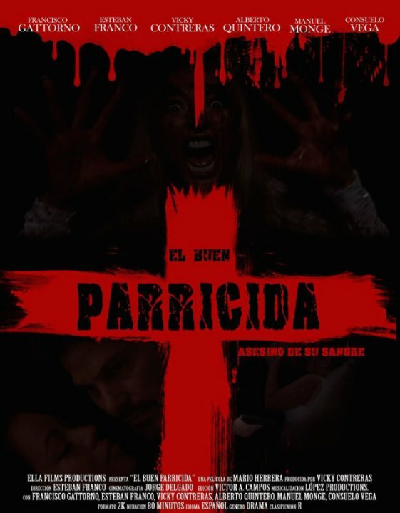 El buen parricida (2015) постер