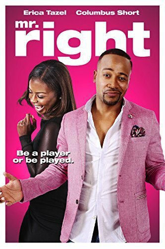 Mr. Right (2015) постер