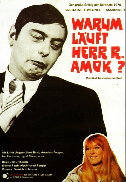 Почему рехнулся господин Р? (1970) постер
