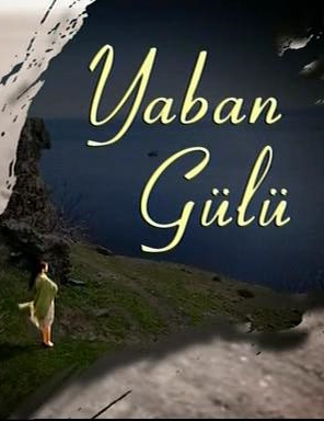 Yaban Gülü (2008) постер