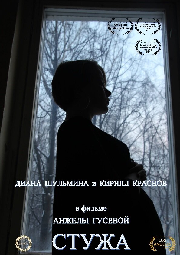 Стужа (2017) постер