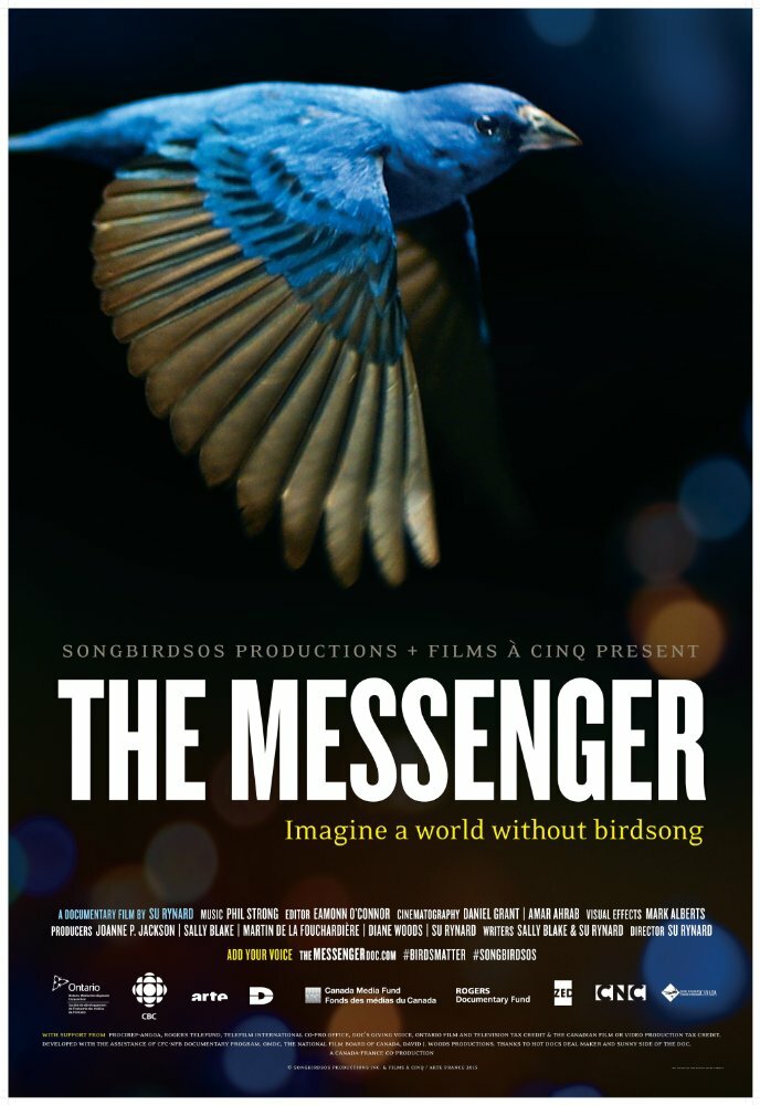 The Messenger (2015) постер