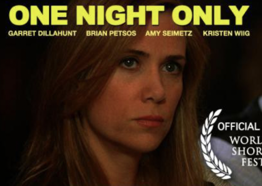 Только на одну ночь (2009) постер