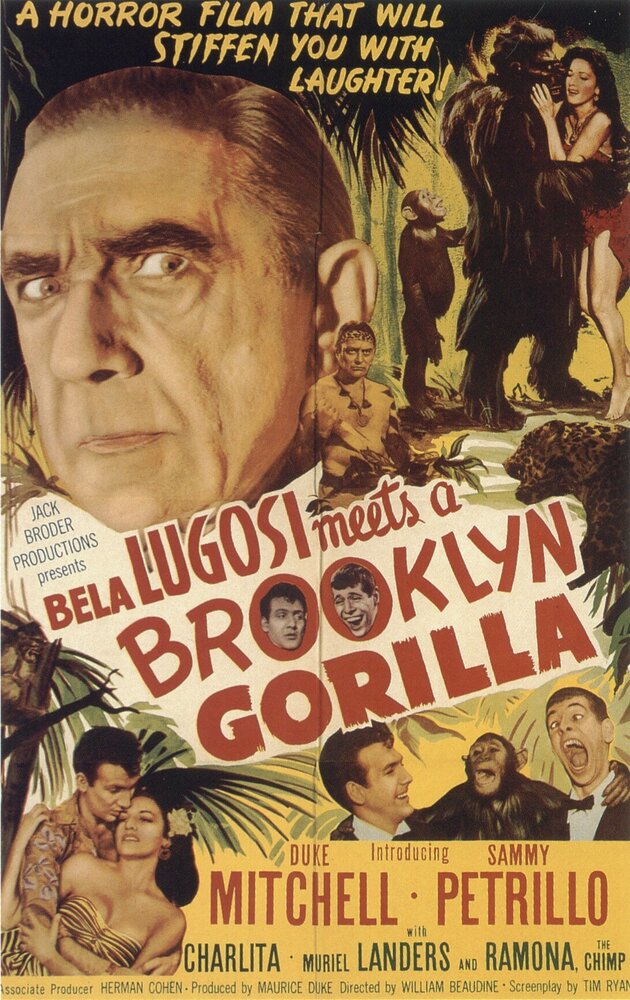 Бела Лугоши знакомится с бруклинской гориллой (1952) постер