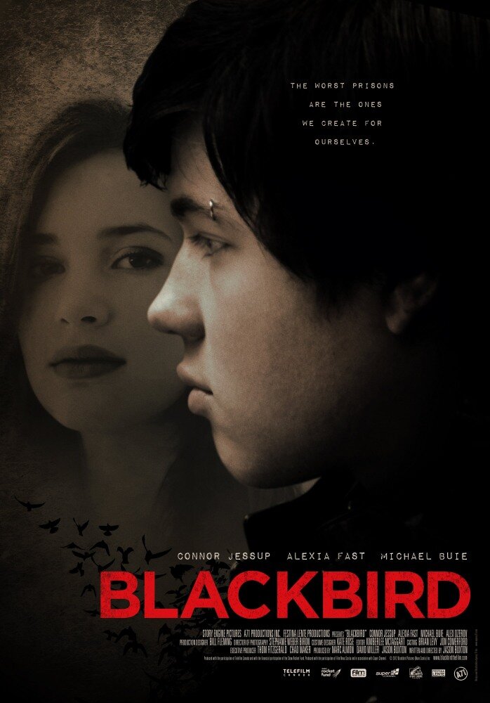 Чёрный дрозд (2012) постер
