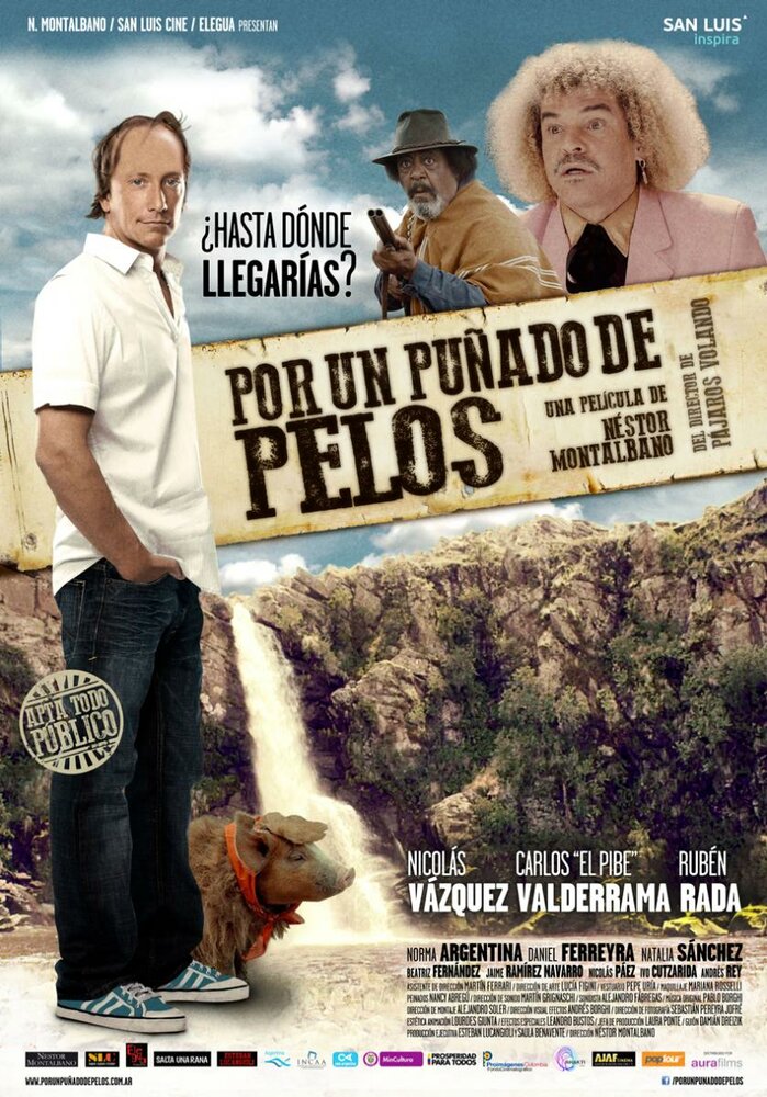 Por un puñado de pelos (2014) постер