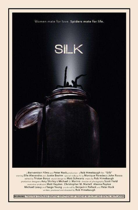 Silk (2014) постер