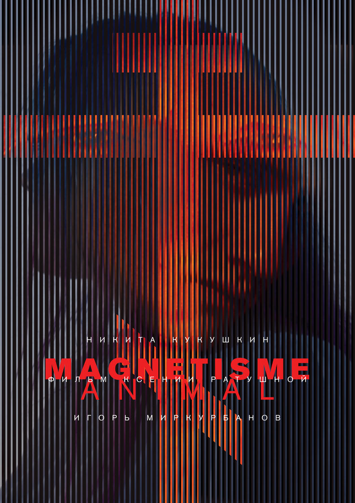 Магнетизм (2016) постер