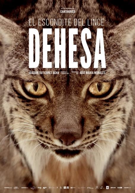 Dehesa, el bosque del lince ibérico (2020) постер