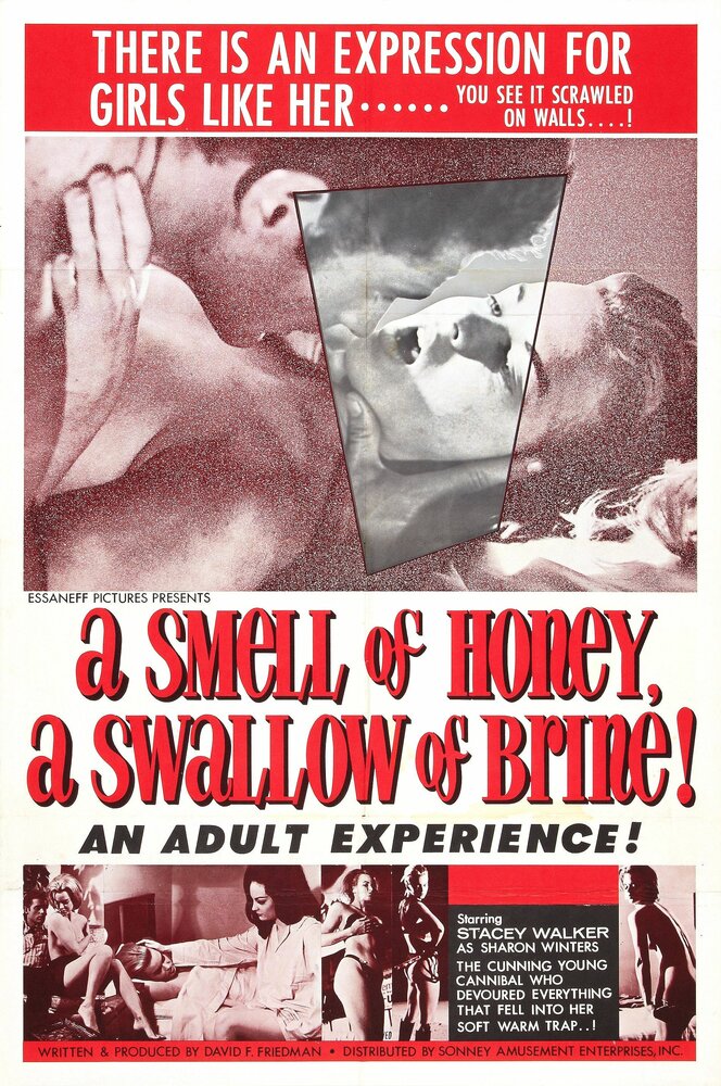 На запах – мед, на вкус – рассол (1966) постер