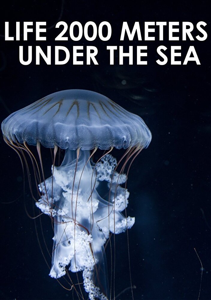 Жизнь на глубине 2000 метров (2014) постер