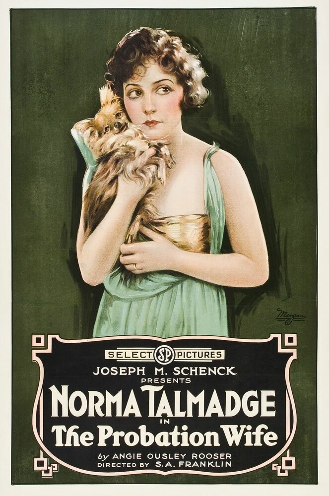 The Probation Wife (1919) постер