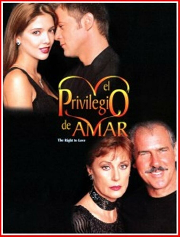 Привилегия любить (1998) постер