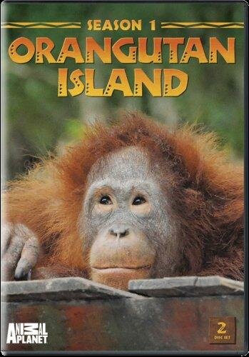 Остров орангутанов (2007) постер