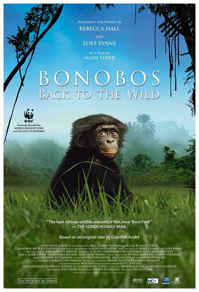 Шимпанзе: Возвращение в дикую природу (2015) постер