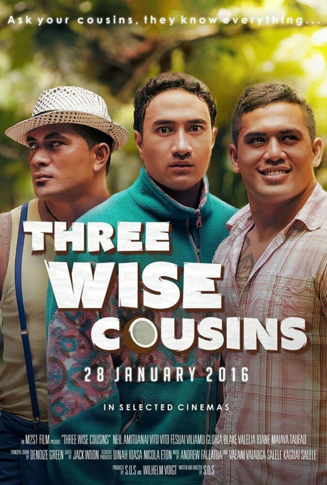 Three Wise Cousins (2016) постер