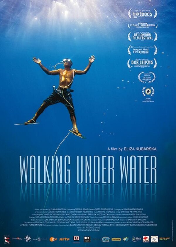 Прогулки под водой (2014) постер